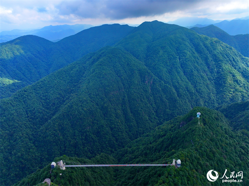 許多游客在安遠縣三百山景區玻璃棧道游玩。人民網 朱海鵬攝