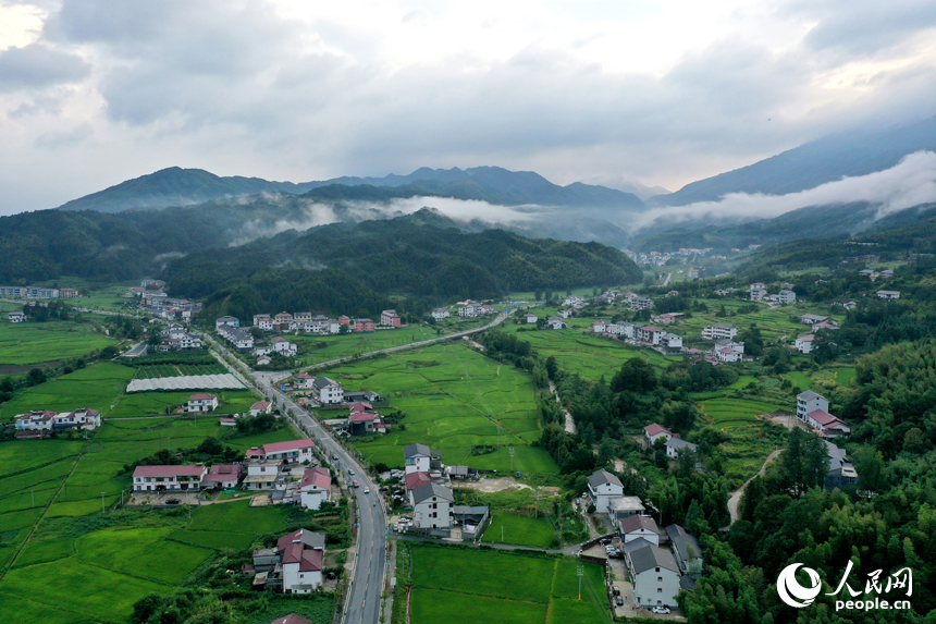 靖安縣中源鄉云霧繚繞，青翠的山林、層疊的田園與山間的民宿構成一幅水墨畫卷。人民網記者 時雨攝