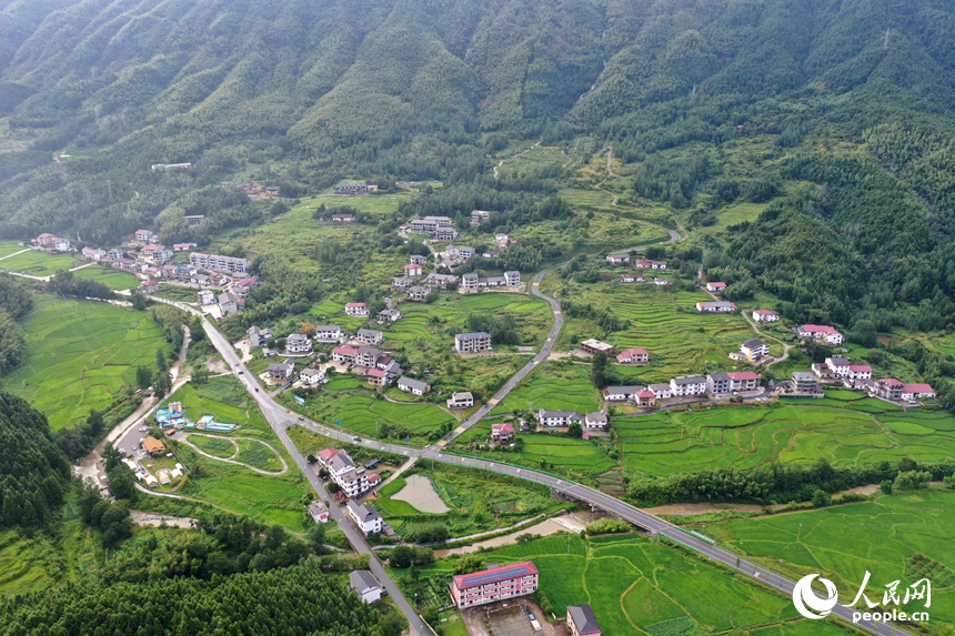 靖安縣中源鄉山間的民宿與層疊的綠色田園交相輝映。人民網記者 時雨攝