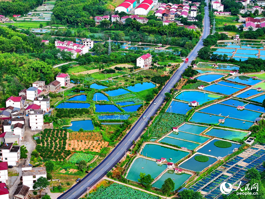 撫州市南豐縣桑田鎮司前村一帶的水產養殖塘星羅棋布，猶如大地調色板。人民網 朱海鵬攝