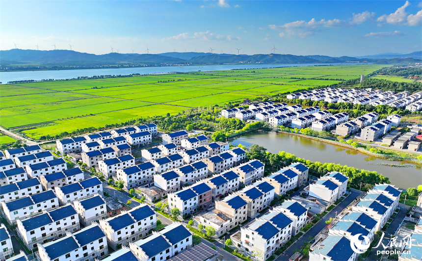 吉安市吉水縣水田鄉孔巷村，整齊的民房與連片的農田相得益彰，相映成景。人民網 朱海鵬攝