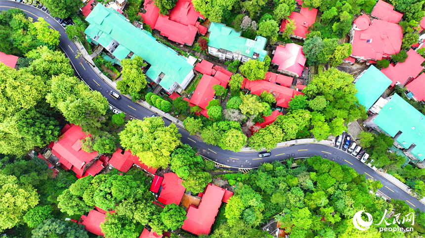 廬山市牯嶺鎮云霧繚繞，美輪美奐，與房屋、綠樹相映成景。人民網 朱海鵬攝