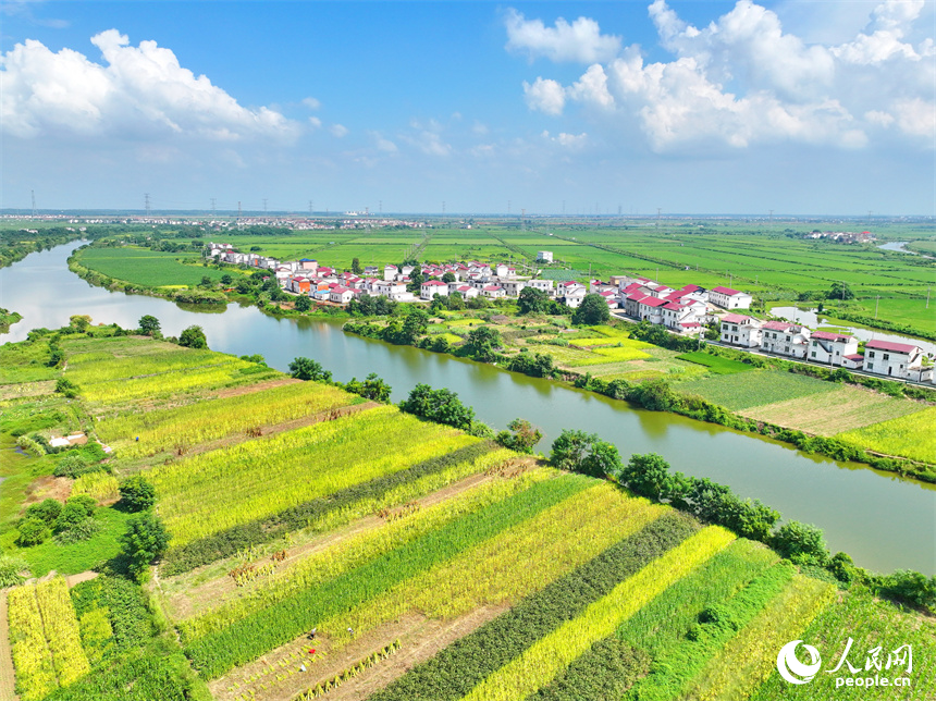 九江市永修縣三角鄉紅旗村，蜿蜒的河流與田園、農房相映成景，如同一幅秋日鄉村畫卷映入眼簾。人民網 朱海鵬攝