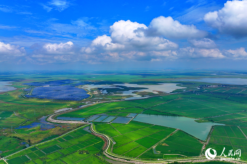 共青城市江益鎮帥家村，連片的藍色光伏發電板整齊排列、蔚為壯觀，與農田、湖泊等構成一幅色彩斑斕的田園畫卷。人民網 朱海鵬攝