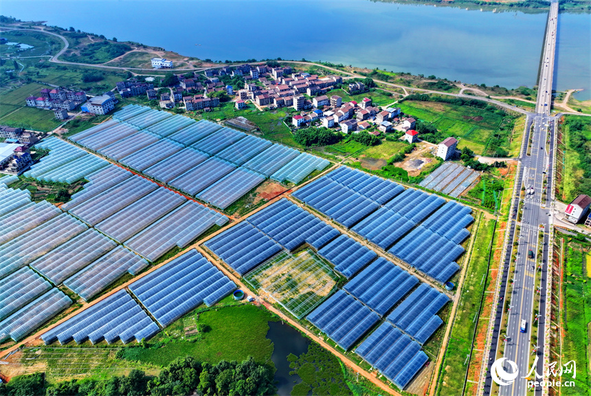 撫州市東臨新區湖南鄉店下村，撫河沿岸城市建筑與鄉村田園相互映襯，構成一幅水清岸綠的城鄉美景畫卷。人民網 朱海鵬攝