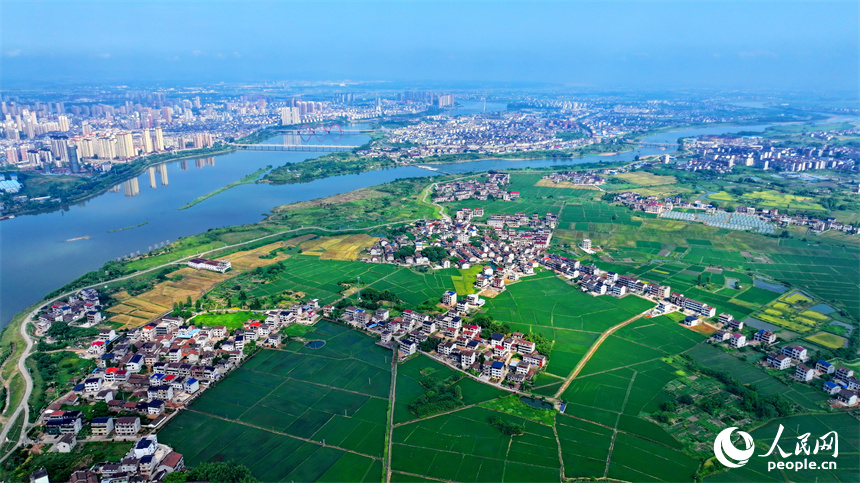 撫州市東臨新區湖南鄉店下村，撫河沿岸城市建筑與鄉村田園相互映襯，構成一幅水清岸綠的城鄉美景畫卷。人民網 朱海鵬攝