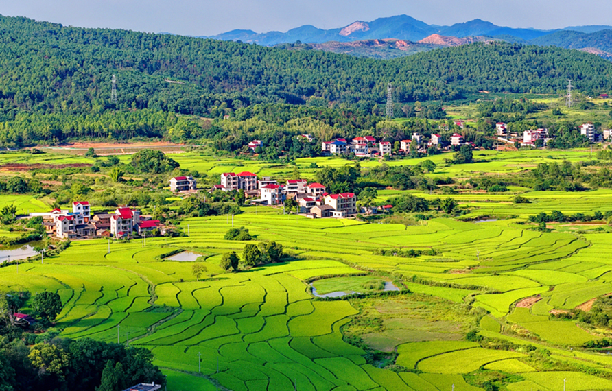 吉安市泰和縣馬市鎮東來村