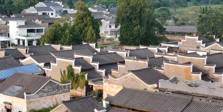 老宅子成了“聚寶盆”