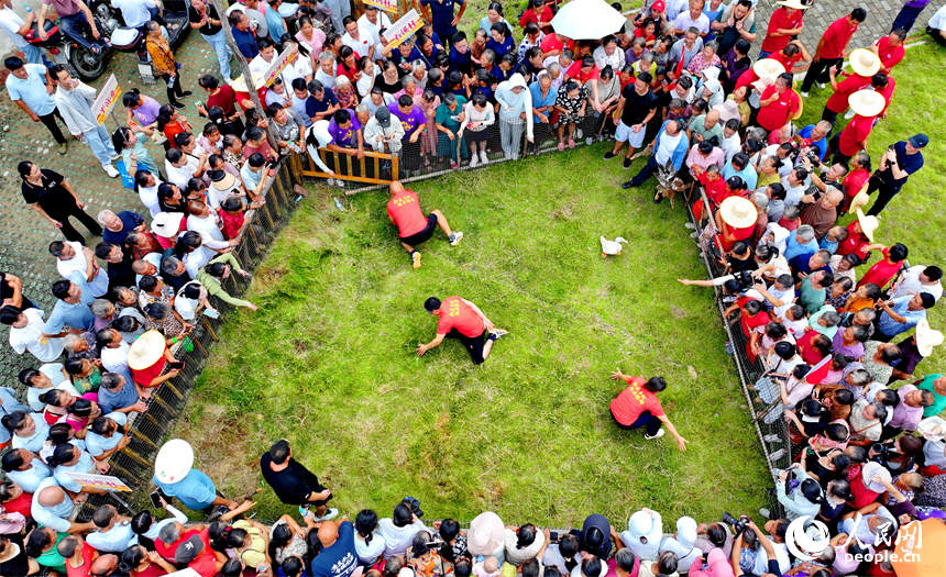贛州市上猶縣營前鎮下灣村，村民在參加趣味運動會，樂享豐收的喜悅。人民網 朱海鵬攝