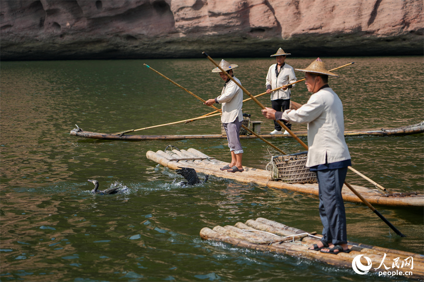 瀘溪河上，正上演鸕鶿捕魚表演。人民網 涂詩軒攝