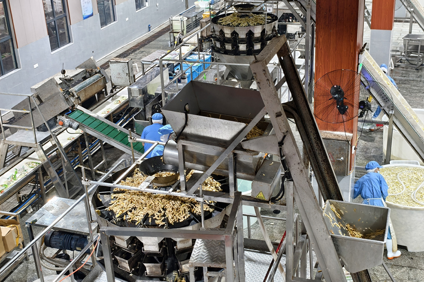 江西樂安廣雅食品車間內，工人們正在加工竹筍產品。人民網記者 時雨攝