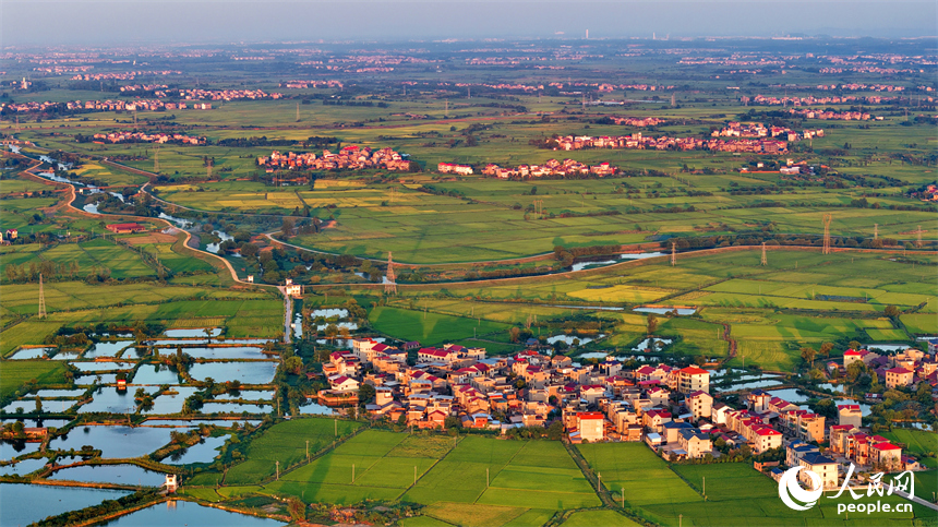 樟樹市大橋街道漁塘村，田園水系環繞，農房錯落有致，秋日鄉村美景怡人。人民網 朱海鵬攝