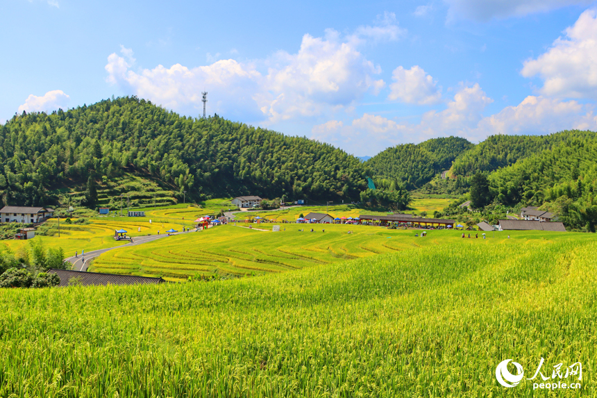 崇義縣上堡鄉水南村，層疊蜿蜒的梯田吸引不少游客前來游覽。人民網 朱海鵬攝