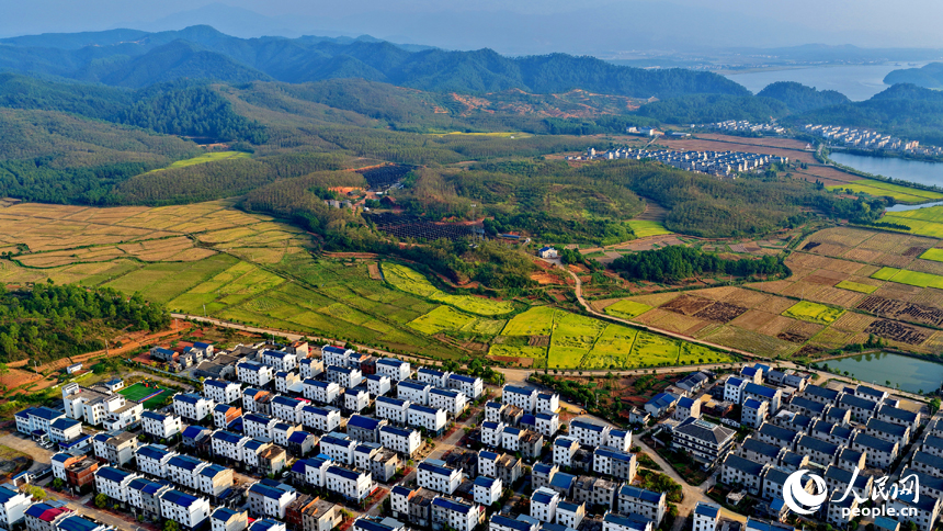 吉安市吉水縣水田鄉郭家村，村居民房與田園秋韻相映映襯，景美如畫。人民網 朱海鵬攝