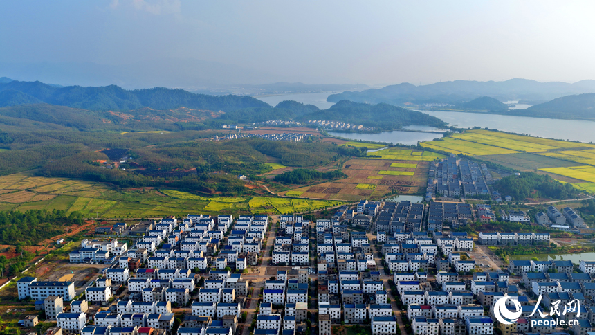 吉安市吉水縣水田鄉郭家村，村居民房與田園秋韻相映映襯，景美如畫。人民網 朱海鵬攝