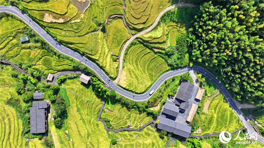 贛州市崇義縣上堡鄉，通村柏油公路串聯起層層疊疊的梯田，吸引了不少游客驅車前來游玩。人民網 朱海鵬攝