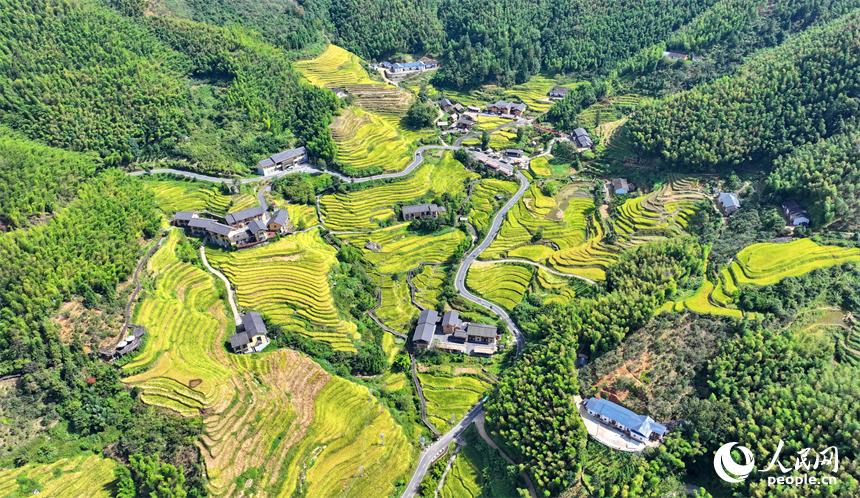 贛州市崇義縣上堡鄉，通村柏油公路串聯起層層疊疊的梯田，吸引了不少游客驅車前來游玩。人民網 朱海鵬攝