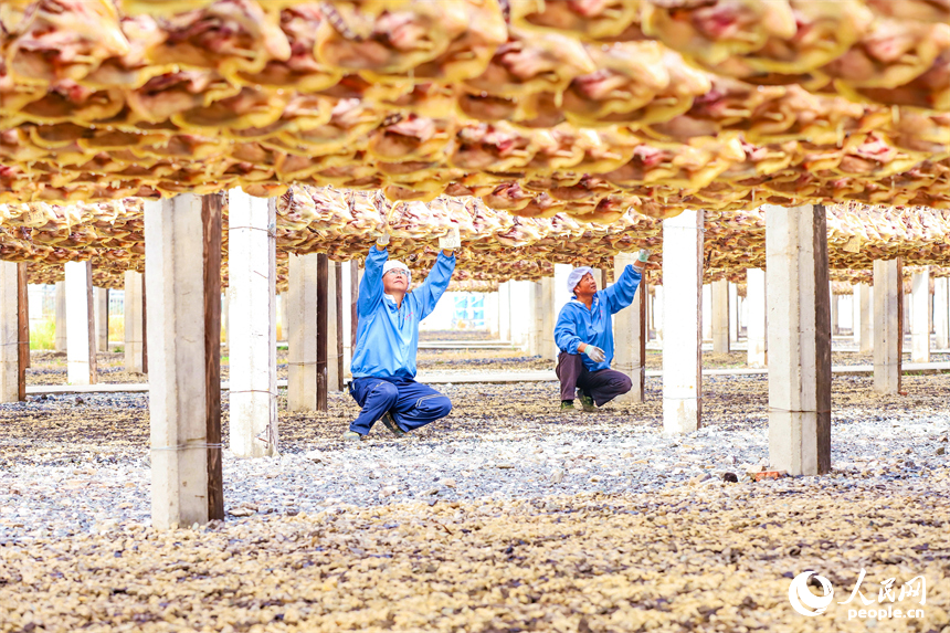 贛州市大余縣南安鎮的一處南安板鴨生產基地，工人正在晾曬板鴨。人民網 朱海鵬攝
