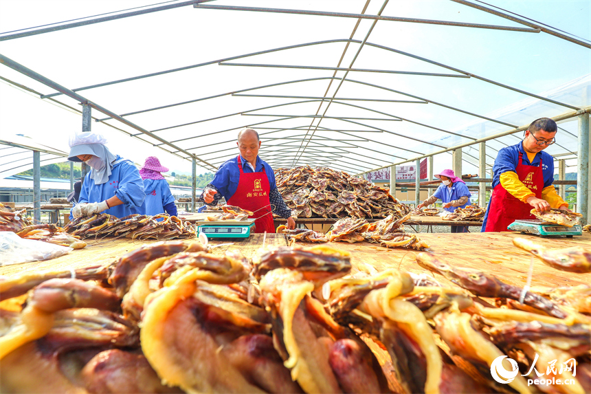 贛州市大余縣南安鎮的一處南安板鴨生產基地，工人正在晾曬板鴨。人民網 朱海鵬攝