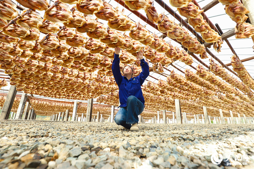 贛州市大余縣南安鎮的一處南安板鴨生產基地，工人正在晾曬板鴨。人民網 朱海鵬攝