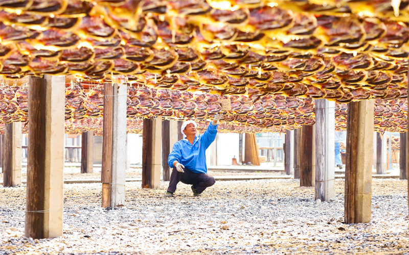 江西大余：板鴨飄香晾曬忙