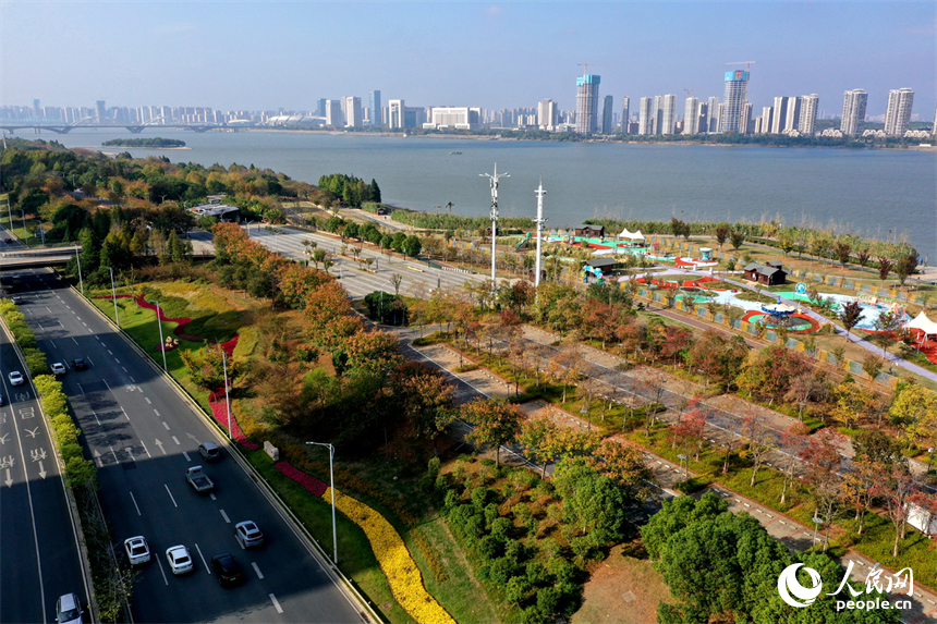 贛江江灘公園沿線樹木披上“彩衣”，迎來了最佳的觀賞期。人民網記者 時雨攝