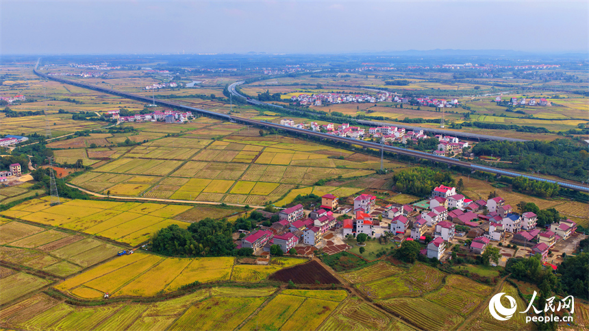 樟樹市觀上鎮一帶，公路、鐵路縱橫交錯，廣袤田園與青山綠樹交相輝映，冬日風景宜人。人民網 朱海鵬攝