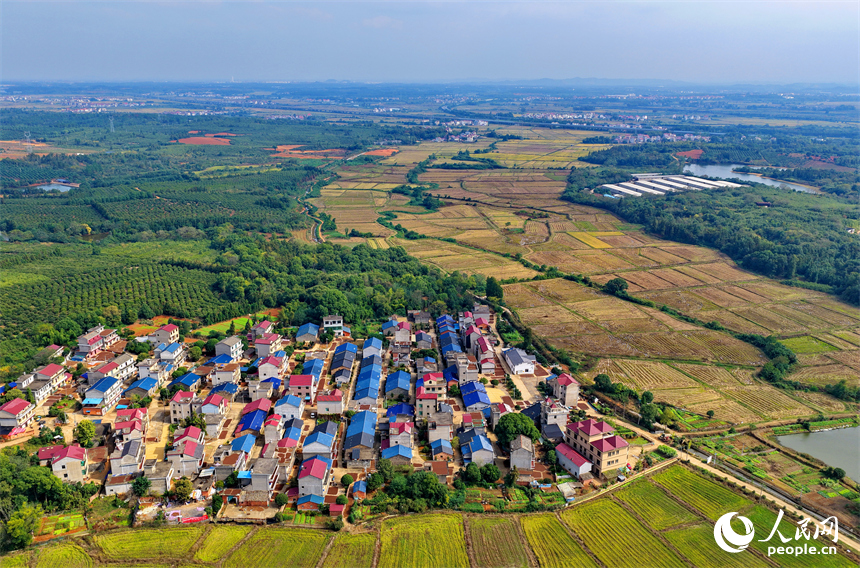 樟樹市觀上鎮一帶，公路、鐵路縱橫交錯，廣袤田園與青山綠樹交相輝映，冬日風景宜人。人民網 朱海鵬攝