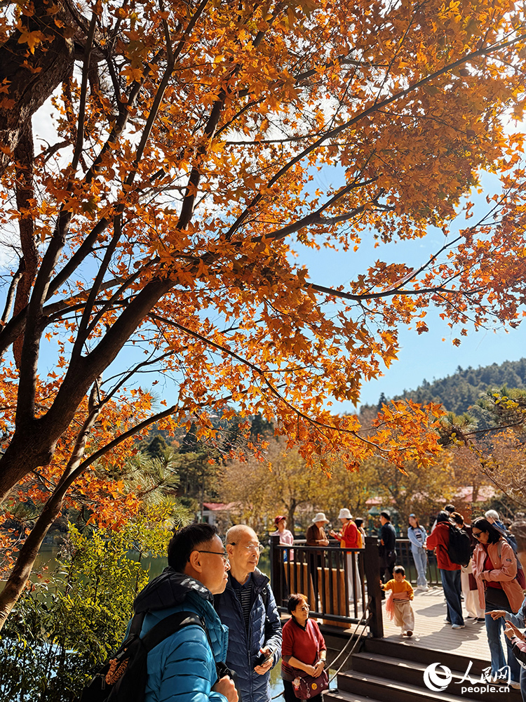 游客在廬山如琴湖畔欣賞紅楓，拍照留念。人民網記者 邱燁攝