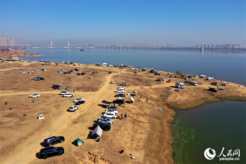 冬日暖陽下，馬咀山生態公園迎來眾多開車露營休閑的市民游客。人民網記者 時雨攝