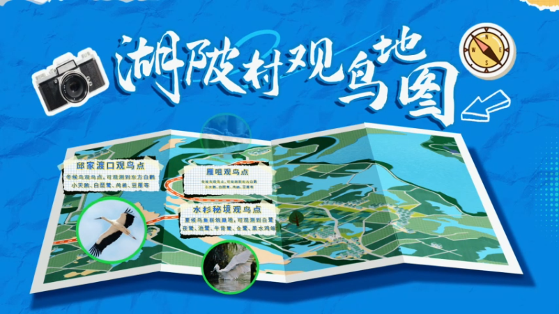 跟著駐村第一書記當鳥導