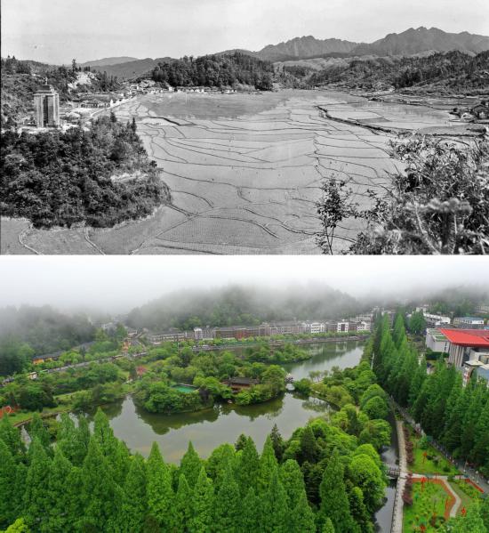 ƴƬψDo50ĔzľɽƺYƬD2021427ĔzĽɽƺo˙CƬAӛ f zAl