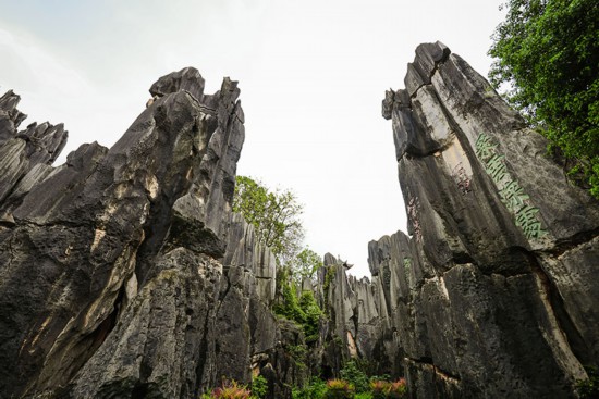 雄奇壯觀的石林美景.